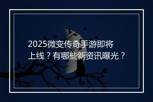 2025微变传奇手游即将上线？有哪些新资讯曝光？