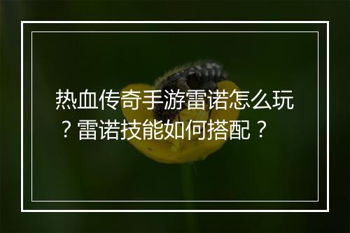 热血传奇手游雷诺怎么玩？雷诺技能如何搭配？