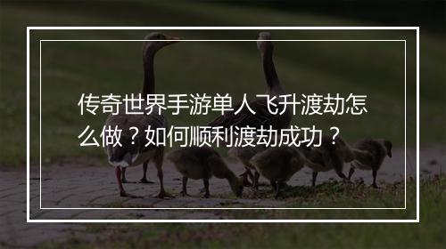 传奇世界手游单人飞升渡劫怎么做？如何顺利渡劫成功？