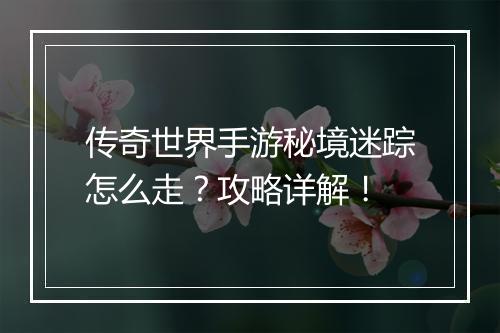 传奇世界手游秘境迷踪怎么走？攻略详解！