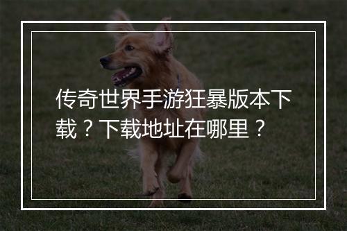 传奇世界手游狂暴版本下载？下载地址在哪里？