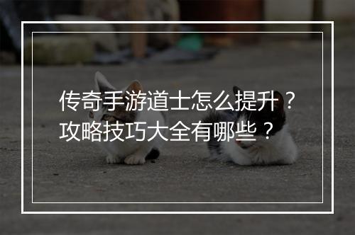 传奇手游道士怎么提升？攻略技巧大全有哪些？