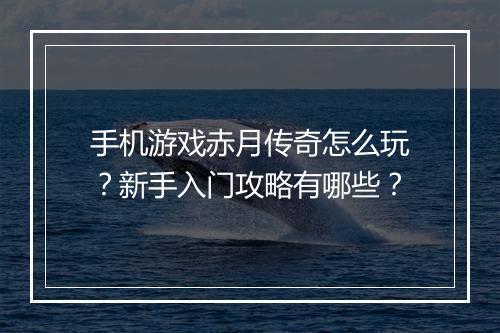 手机游戏赤月传奇怎么玩？新手入门攻略有哪些？