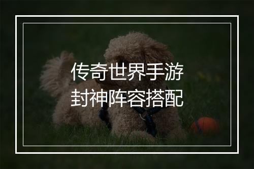 传奇世界手游封神阵容搭配