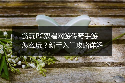 贪玩PC双端网游传奇手游怎么玩？新手入门攻略详解