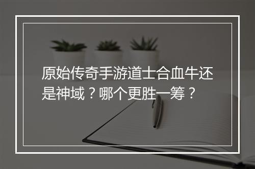 原始传奇手游道士合血牛还是神域？哪个更胜一筹？