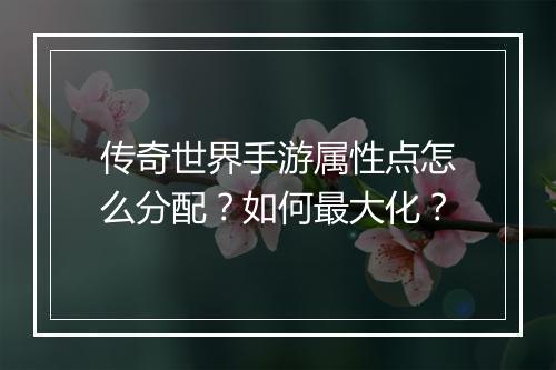 传奇世界手游属性点怎么分配？如何最大化？