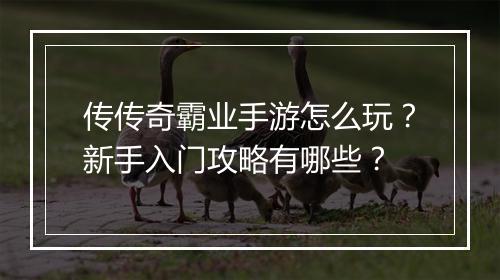 传传奇霸业手游怎么玩？新手入门攻略有哪些？