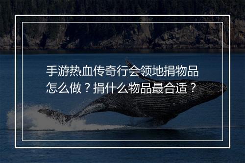 手游热血传奇行会领地捐物品怎么做？捐什么物品最合适？