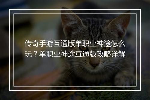 传奇手游互通版单职业神途怎么玩？单职业神途互通版攻略详解