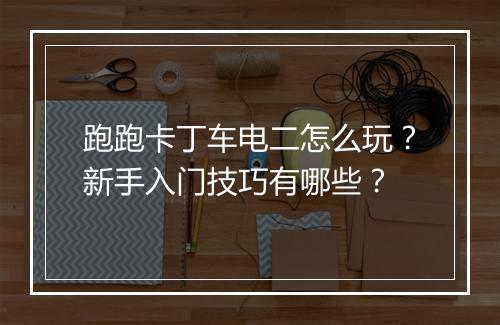 跑跑卡丁车电二怎么玩？新手入门技巧有哪些？