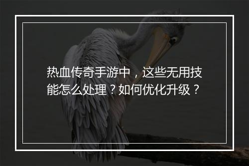 热血传奇手游中，这些无用技能怎么处理？如何优化升级？