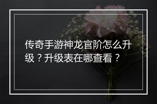 传奇手游神龙官阶怎么升级？升级表在哪查看？