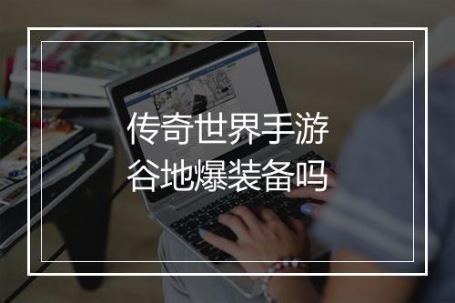 传奇世界手游谷地爆装备吗