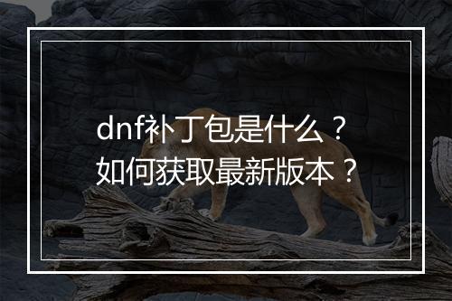 dnf补丁包是什么？如何获取最新版本？