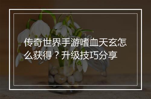 传奇世界手游嗜血天玄怎么获得？升级技巧分享