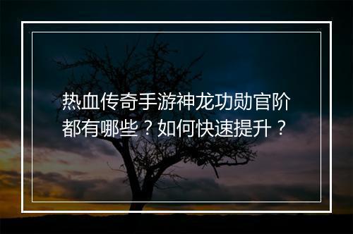 热血传奇手游神龙功勋官阶都有哪些？如何快速提升？