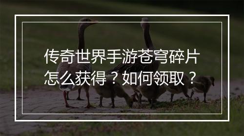 传奇世界手游苍穹碎片怎么获得？如何领取？