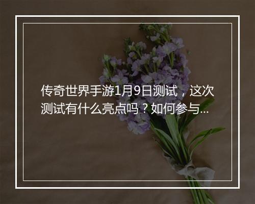 传奇世界手游1月9日测试，这次测试有什么亮点吗？如何参与？