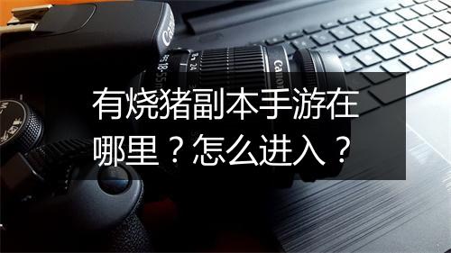 有烧猪副本手游在哪里？怎么进入？
