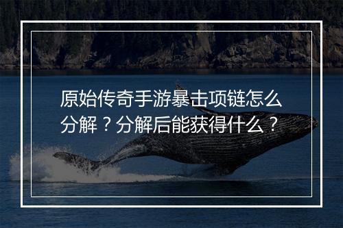 原始传奇手游暴击项链怎么分解？分解后能获得什么？