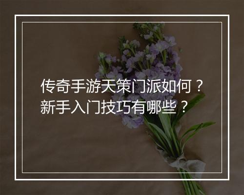 传奇手游天策门派如何？新手入门技巧有哪些？
