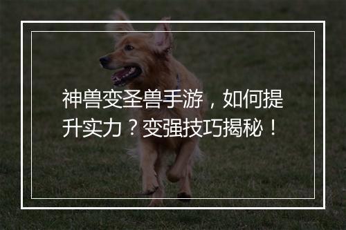 神兽变圣兽手游，如何提升实力？变强技巧揭秘！