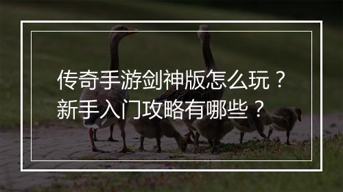 传奇手游剑神版怎么玩？新手入门攻略有哪些？