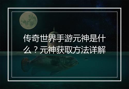 传奇世界手游元神是什么？元神获取方法详解