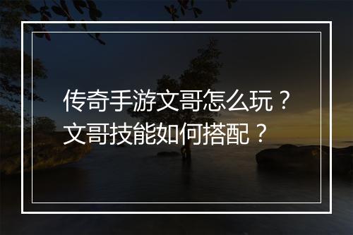 传奇手游文哥怎么玩？文哥技能如何搭配？