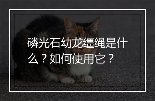 磷光石幼龙缰绳是什么？如何使用它？
