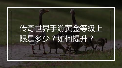 传奇世界手游黄金等级上限是多少？如何提升？