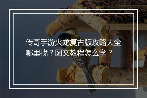 传奇手游火龙复古版攻略大全哪里找？图文教程怎么学？