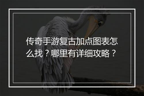 传奇手游复古加点图表怎么找？哪里有详细攻略？
