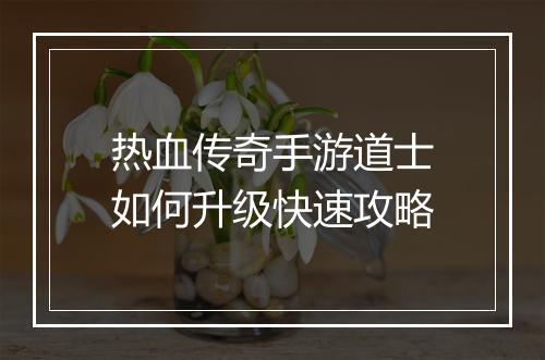 热血传奇手游道士如何升级快速攻略