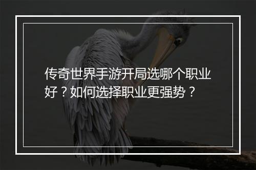 传奇世界手游开局选哪个职业好？如何选择职业更强势？