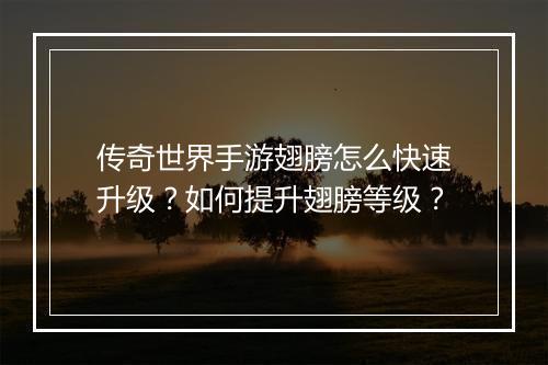 传奇世界手游翅膀怎么快速升级？如何提升翅膀等级？
