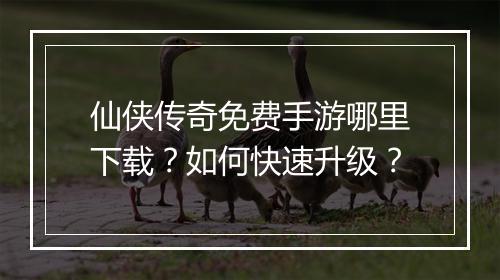 仙侠传奇免费手游哪里下载？如何快速升级？