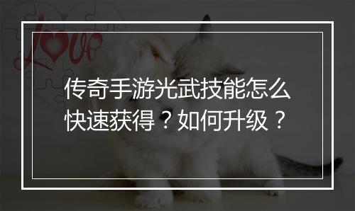 传奇手游光武技能怎么快速获得？如何升级？