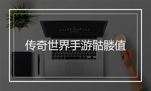 传奇世界手游骷髅值