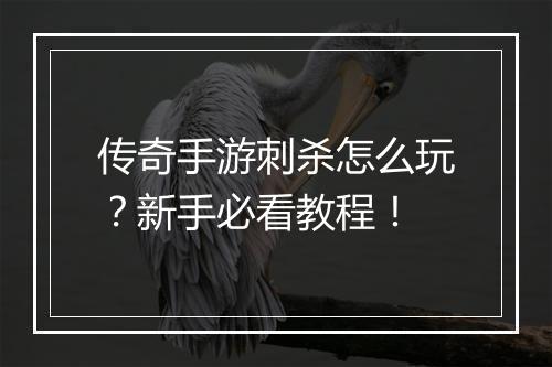 传奇手游刺杀怎么玩？新手必看教程！