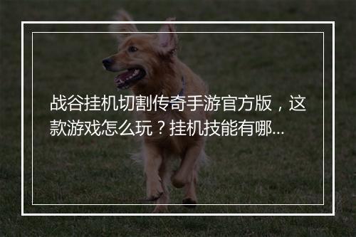 战谷挂机切割传奇手游官方版，这款游戏怎么玩？挂机技能有哪些？