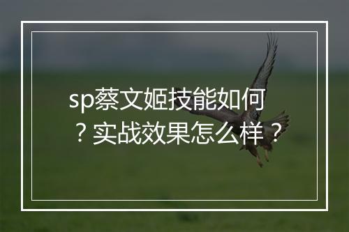 sp蔡文姬技能如何？实战效果怎么样？