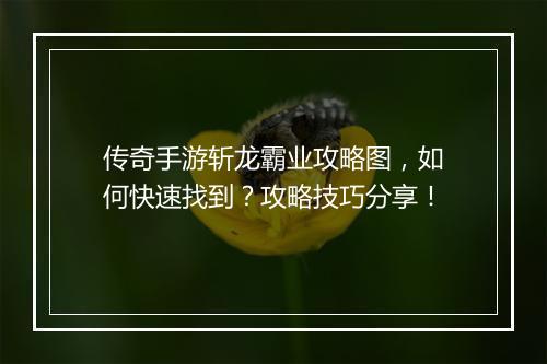 传奇手游斩龙霸业攻略图，如何快速找到？攻略技巧分享！