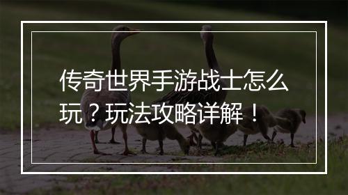 传奇世界手游战士怎么玩？玩法攻略详解！