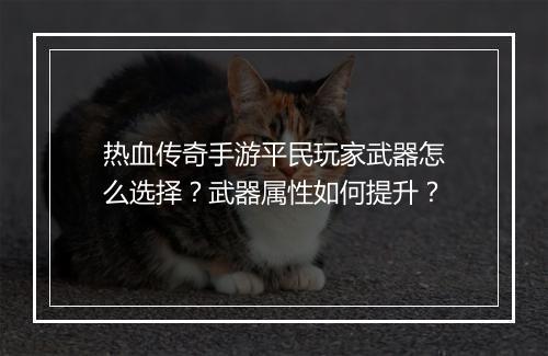 热血传奇手游平民玩家武器怎么选择？武器属性如何提升？
