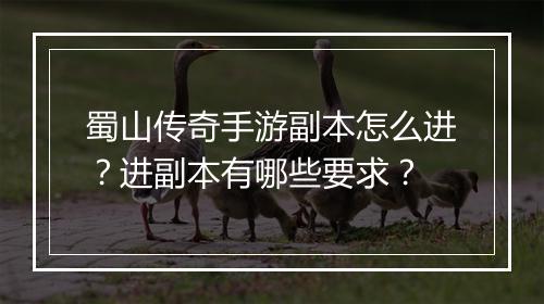 蜀山传奇手游副本怎么进？进副本有哪些要求？