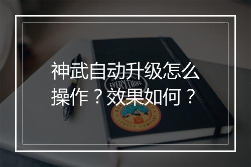 神武自动升级怎么操作？效果如何？