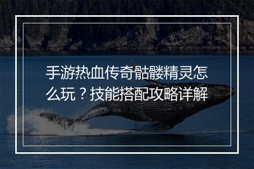 手游热血传奇骷髅精灵怎么玩？技能搭配攻略详解