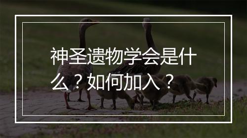 神圣遗物学会是什么？如何加入？